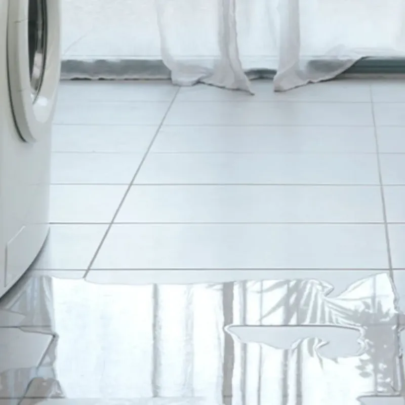 Appliance Leak Cleanup in Annapolis, MD