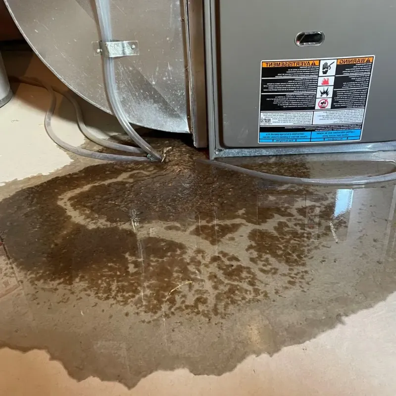Pipe Burst and Leak Restoration in Annapolis, MD